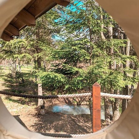 Medve Dome - Luxury Camping In The Middle Of Nature Ξενοδοχείο Vlahita Εξωτερικό φωτογραφία