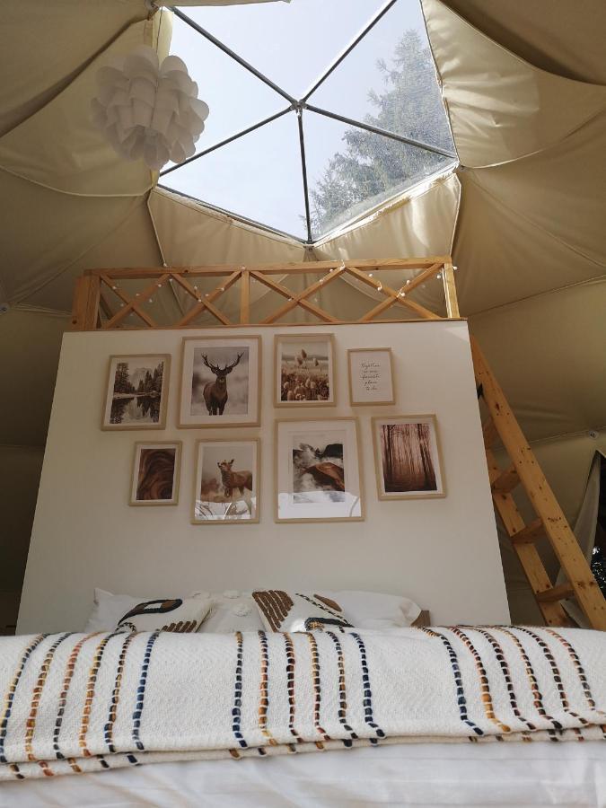 Medve Dome - Luxury Camping In The Middle Of Nature Ξενοδοχείο Vlahita Εξωτερικό φωτογραφία