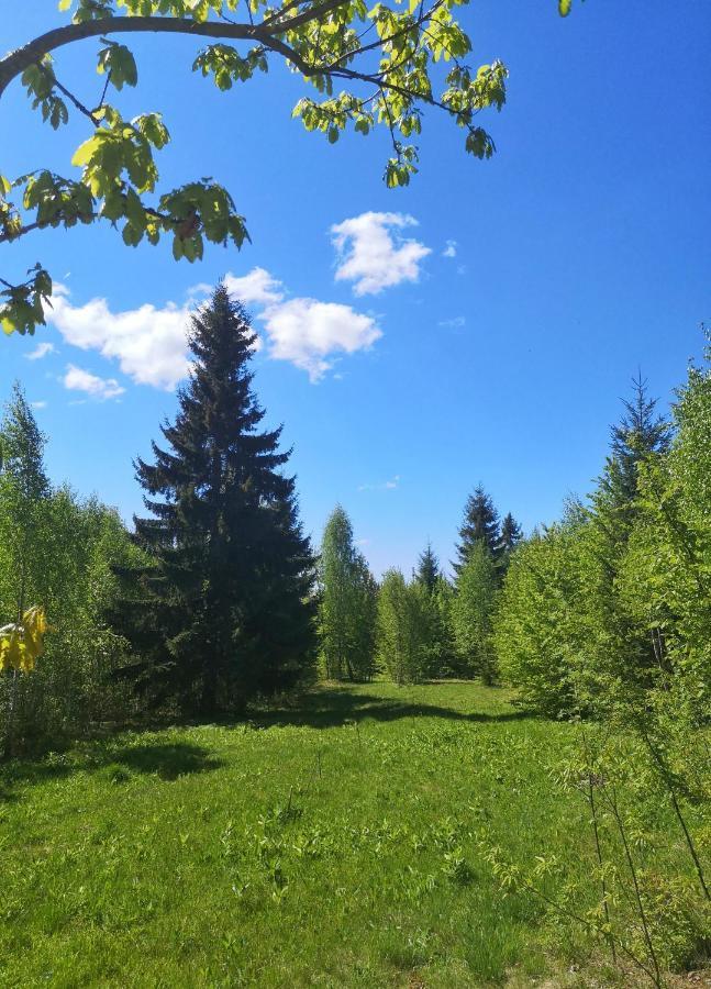 Medve Dome - Luxury Camping In The Middle Of Nature Ξενοδοχείο Vlahita Εξωτερικό φωτογραφία