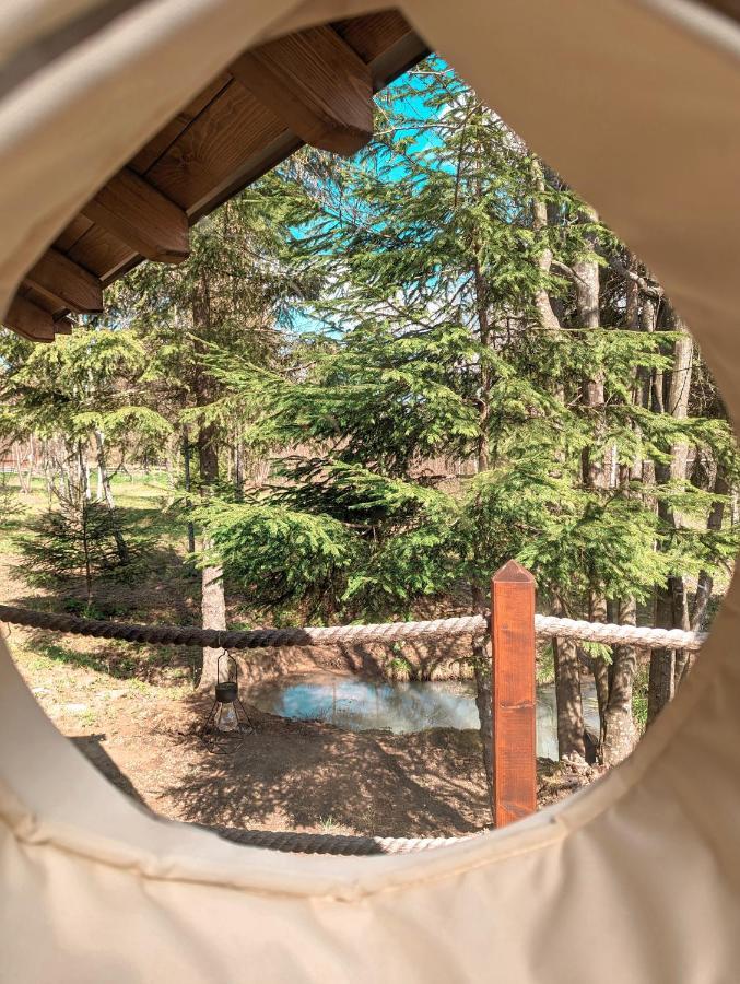 Medve Dome - Luxury Camping In The Middle Of Nature Ξενοδοχείο Vlahita Εξωτερικό φωτογραφία